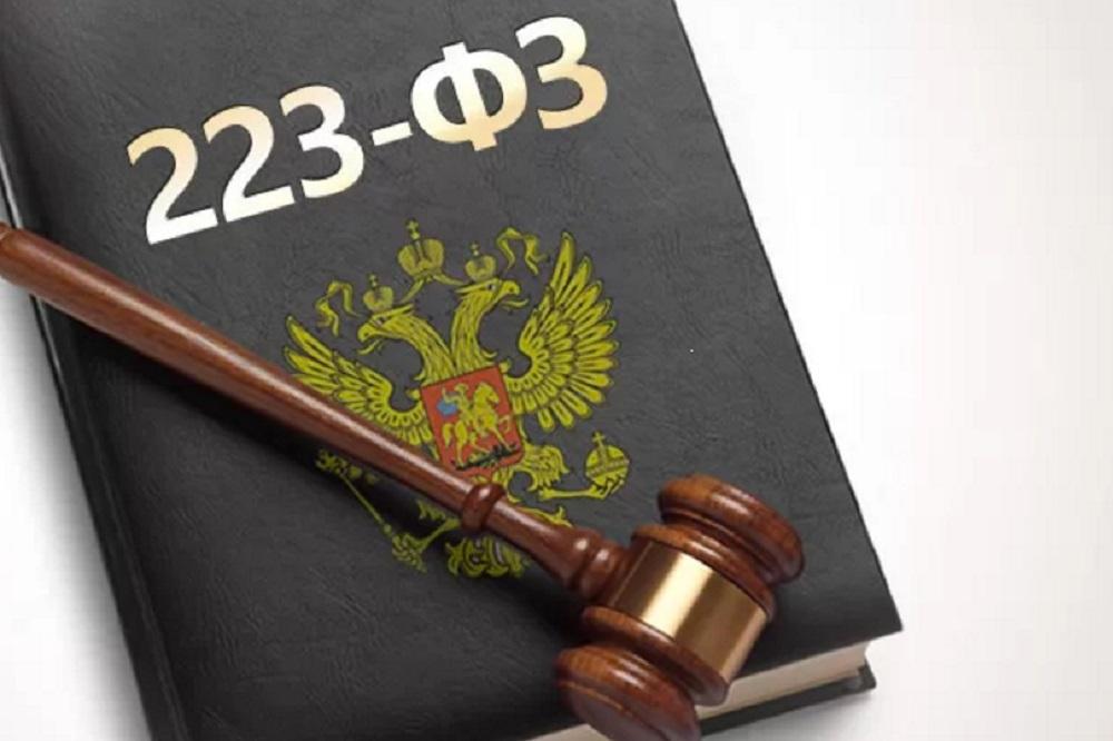29.04.2022г. Обучающий онлайн-семинар «223-ФЗ: итоги прокурорского надзора, типовые и неординарные ошибки заказчиков»